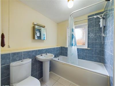 Picture 17